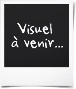 Intex Prime Comfort - Luchtbed - 1-Persoons - 99x191x51 Cm (BxLxH) - Grijs - Met Ingebouwde Motorpomp -Winkel Voor Kampeerartikelen 1031x1200 3