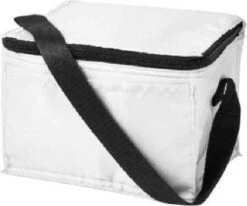 Koeltas - Mini Koeltas - Geschikt Voor 6 Blikjes - Compact Koeltas + 2 Koelelementen - Rheme 10 Koeltas - Mini Koeltas - Geschikt Voor 6 Blikjes - Compact Koeltas + 2 Koelelementen - Rheme -Winkel Voor Kampeerartikelen 1200x1001