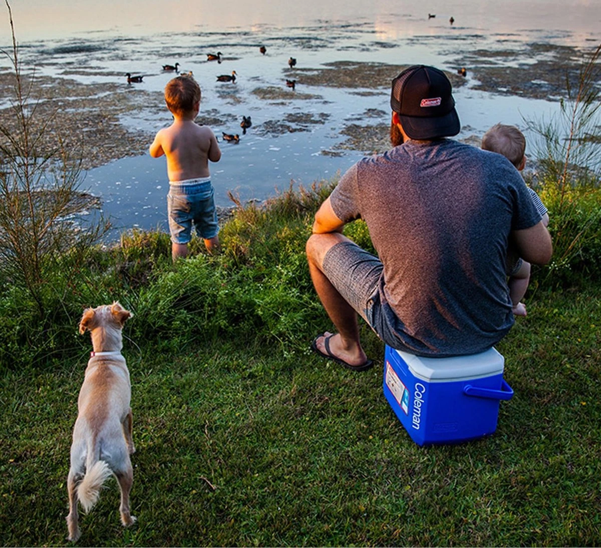 Coleman 16QT Performance Tricolor Koelbox - 15L - Blauw/Grijs 5 Coleman 16QT Performance Tricolor Koelbox - 15L - Blauw/Grijs - Afbeelding 3