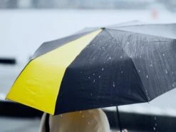 Sanplu® Original Stormparaplu - Opvouwbaar - Inklapbaar - Stormbestendig - Incl. Tas -Winkel Voor Kampeerartikelen 1200x899 6