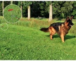 PROPLUS Pro Plus Aanlegspiraal - Hondenpen Met Handvat En Ring - Lengte 39 Cm 11 PROPLUS Pro Plus Aanlegspiraal - Hondenpen Met Handvat En Ring - Lengte 39 Cm -Winkel Voor Kampeerartikelen 1200x959