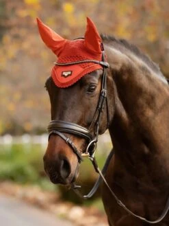 LeMieux Loire Oornetje - Maat Full - Mist -Winkel Voor Kampeerartikelen 900x1200 19